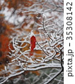 紅葉した一枚の葉と初雪 35308142