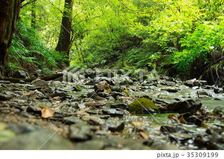 沢 - 高尾山 35309199