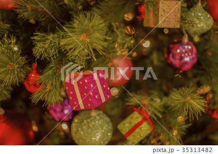 クリスマスツリー 35313482