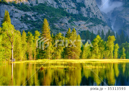 Merced River landscape in Yosemite Merced River landscape in Yosemite 35313593