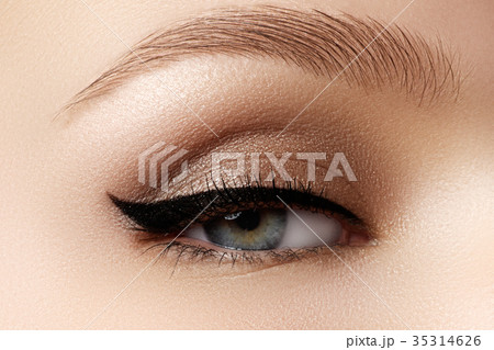 Beautiful girl. Perfect skin. Makeup, cosmetics Beautiful girl. Perfect skin. Makeup, cosmetics 35314626