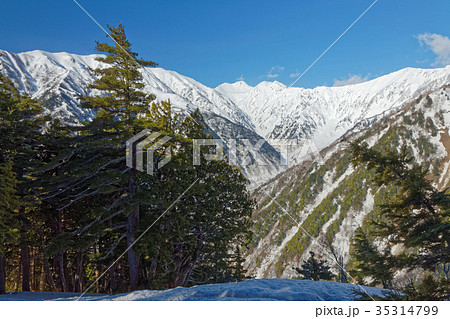 北アルプス・爺ヶ岳の登りから見る針ノ木岳 35314799