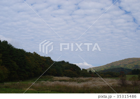 秋の風景 秋の風景 35315486