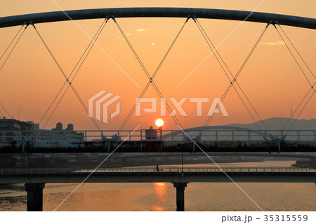 夜明けの出会い(高知市鏡川) 夜明けの出会い(高知市鏡川) 35315559