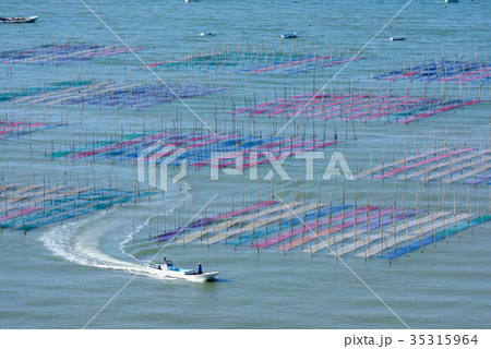 海苔の種付 35315964