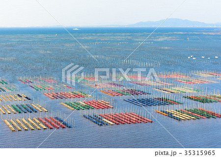 海苔の種付 35315965