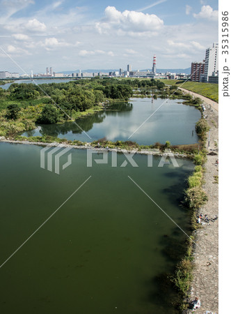 淀川のわんど 35315986