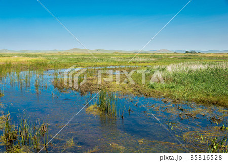 世界遺産 元上都遺址（ザナドゥ） 中国・内モンゴル自治区シリンゴル盟正藍旗 35316528