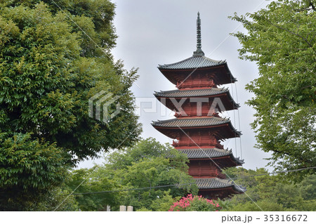 池上本門寺　五重塔 35316672