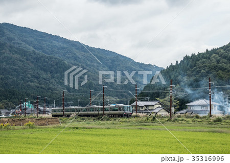 北陸線余呉付近をゆく新快速電車 北陸線余呉付近をゆく新快速電車 35316996