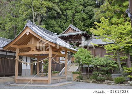 伊弉諾神社 生駒 奈良 伊弉諾神社 生駒 奈良 35317088