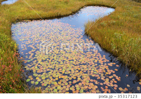 秋の池塘 35317123