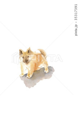 戌　年賀素材　戌年 35317391