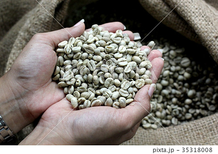 roasted coffee beans on female hand 35318008