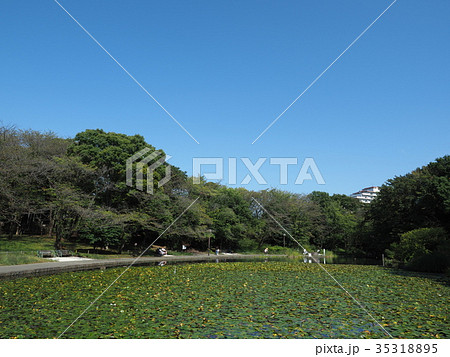 せせらぎ公園 せせらぎ公園 35318895