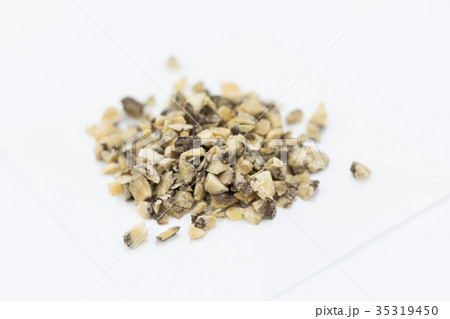 漢方 生薬 川芎 センキュウ 漢方 生薬 川芎 センキュウ 35319450