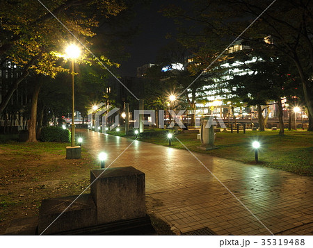 天神中央公園 35319488
