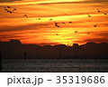 朝焼けと鳥の群れ 35319686