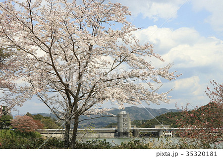 野村ダム 野村ダム 35320181