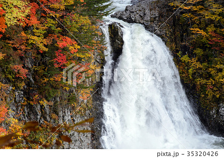 秋 法体の滝 秋田県 秋 法体の滝 秋田県 35320426