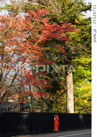 朝の武家屋敷通り　角館 35320731