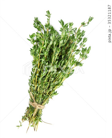 Bundle of thyme 35321187