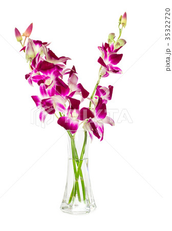 Bouquet of purple orchids in glass vase 35322720