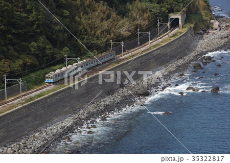 海岸沿いを行く伊豆急8000系 35322817