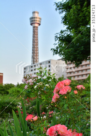 横浜 横浜 35324713