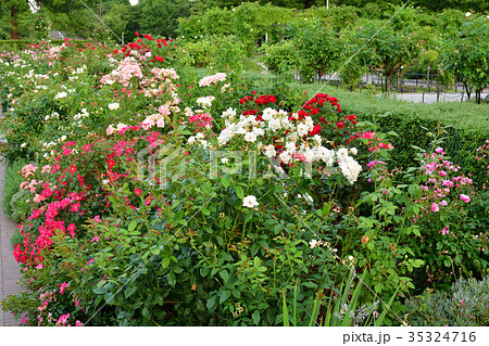 横浜 横浜 35324716