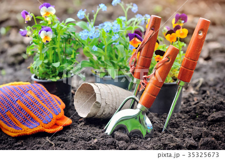 Gardening tools and spring flowers in the garden Gardening tools and spring flowers in the garden 35325673