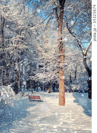Beautiful winter landscape with snow covered trees Beautiful winter landscape with snow covered trees 35325674