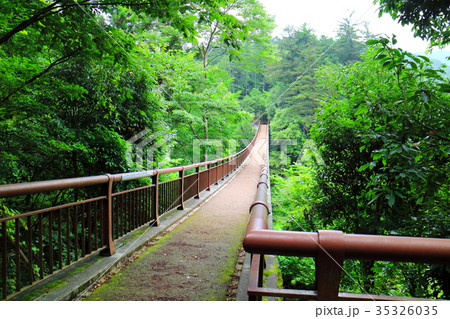 石舟橋 石舟橋 35326035