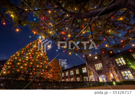 立教大学　クリスマス 35326717