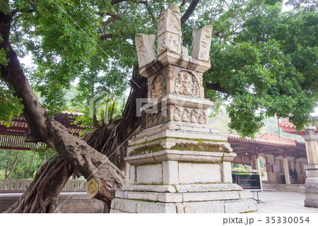 開元寺 中国・福建省泉州市 開元寺 中国・福建省泉州市 35330054
