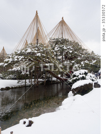 兼六園 雪吊り 兼六園 雪吊り 35330572