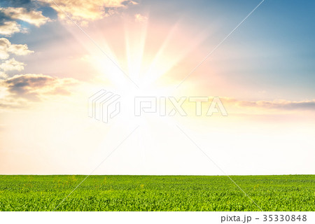 Panoramic meadow Panoramic meadow 35330848