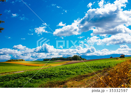 丘の風景 秋景色 美瑛 拓進 丘の風景 秋景色 美瑛 拓進 35332597