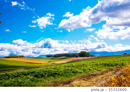 丘の風景　秋景色　美瑛　拓進 35332600