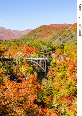 【宮城県】鳴子峡の紅葉 【宮城県】鳴子峡の紅葉 35333605
