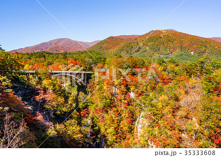 【宮城県】鳴子峡の紅葉 35333608