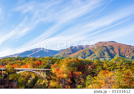 【宮城県】鳴子峡の紅葉 35333612