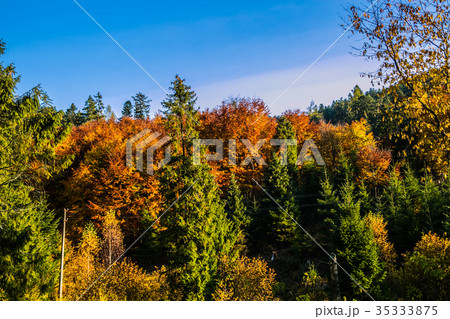 Slovakian nature autumn landscape  35333875