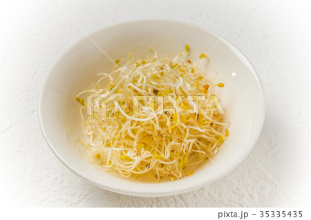 アルファルファもやし　Bean sprouts 35335435