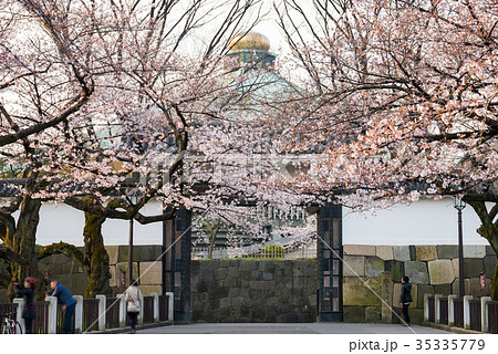 田安門と桜 春 （東京都千代田区北の丸公園） ※2017年4月撮影 35335779
