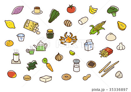 食品　食材 35336897