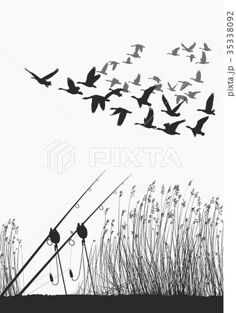 Fishing rod on the shore of the lake and geese Fishing rod on the shore of the lake and geese 35338092