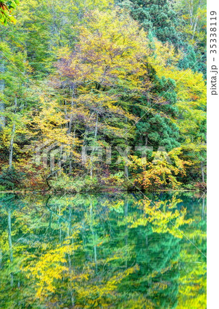 錦秋の龍ヶ窪 35338119