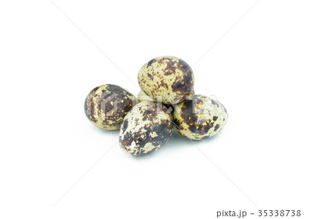 Quail eggs are isolated on a white background Quail eggs are isolated on a white background 35338738