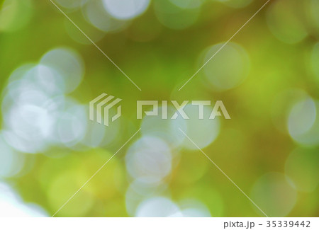 Bokeh natural color background, colorful leaf Bokeh natural color background, colorful leaf 35339442